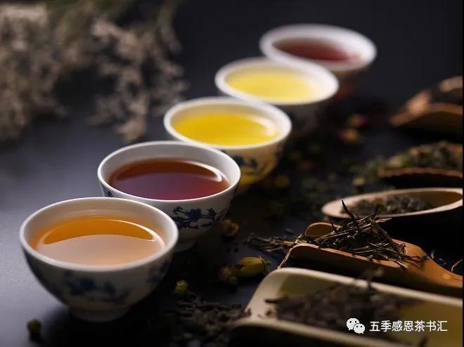 王老师告诉你，福鼎白茶与安吉白茶的区别差异和其功效